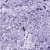 28 536 247