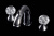 51 016 755 51 016 755